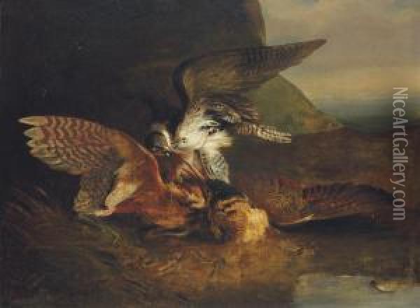 Hawk Killing A Bittern Oil Painting - Sawrey Gilpin