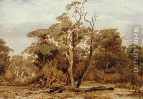 Australian Landscape Oil Painting - Abraham Louis Buvelot
