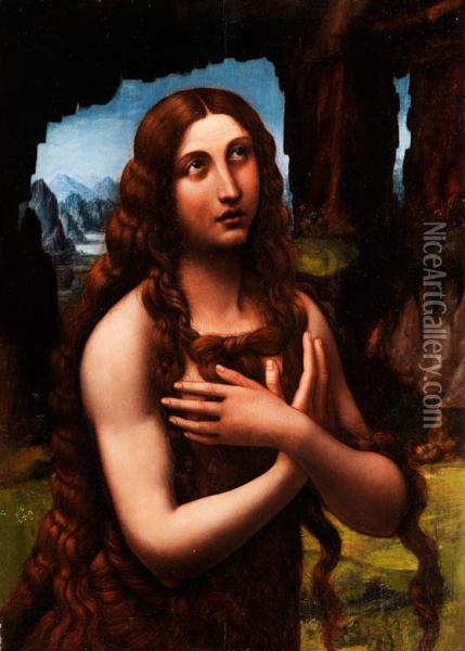 Maria Magdalena Oil Painting - Giampietrino