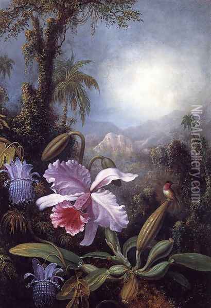 Orchids Passion Flowers And Hummingbird Oil Painting - Martin Johnson Heade
