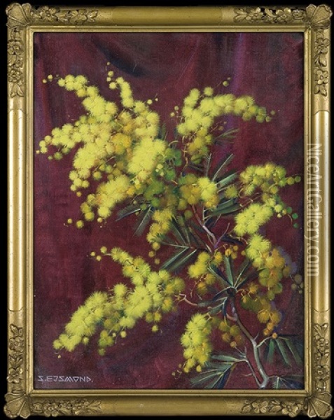 Mimosa Twig Oil Painting - Stanislaw Ejsmond