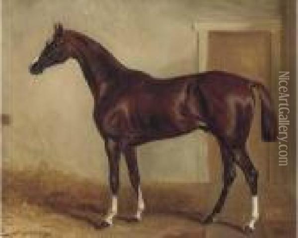 A Bay Hunter In A Stable Oil Painting - John Snr Ferneley