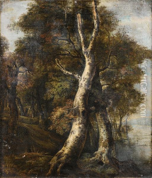 A Wooded River Landscape Oil Painting - Jacob Van Ruisdael