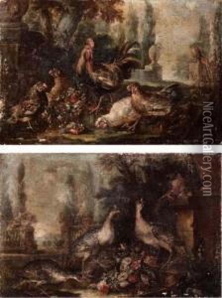 Gallo, Galline In Un Giardino Oil Painting - Il Crivellino Giovanni Crivelli