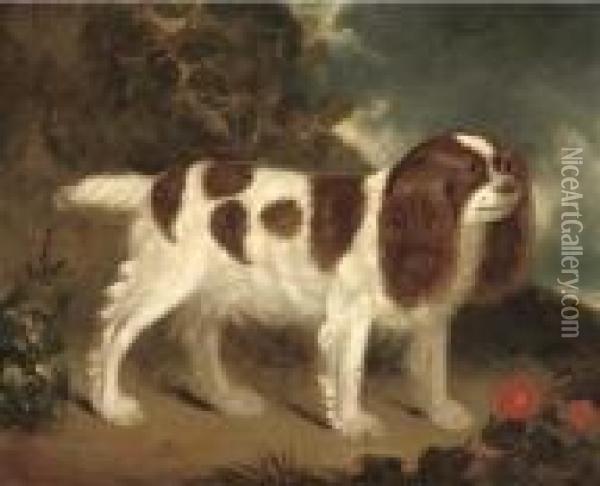 A King Charles Spaniel In A Rocky Landscape Oil Painting - Wilfred Thompson