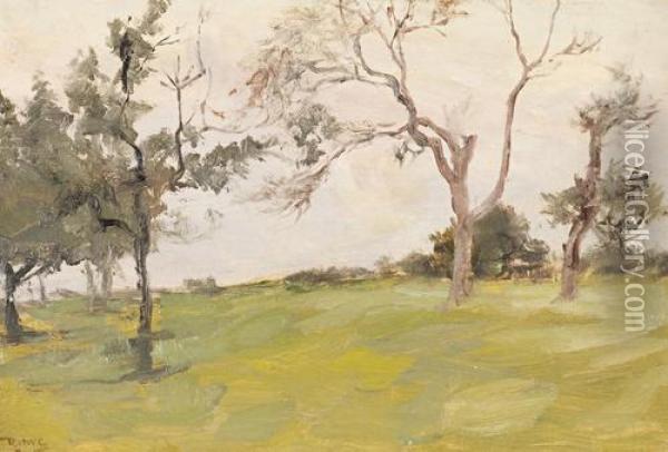 Trees In A Landscape Oil Painting - Robert Bolling Brandegee