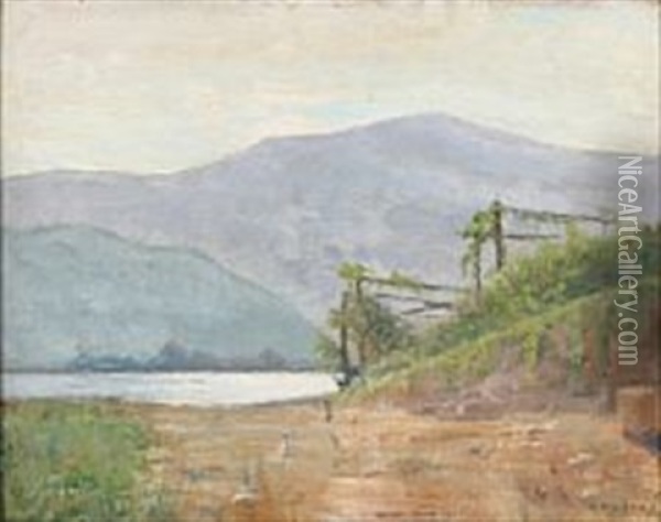Landscape From Genfer Lake In Schwitzerland Oil Painting - Carl Vilhelm Holsoe