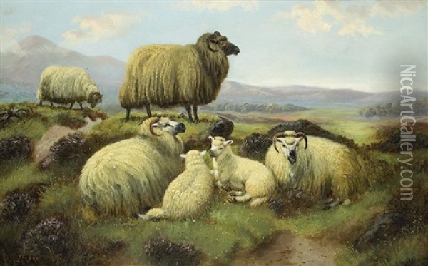 Sheep In The Highlands Oil Painting - John Shirley Fox