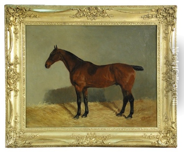 General, A Bay Hunter In A Stable Oil Painting - John Duvall