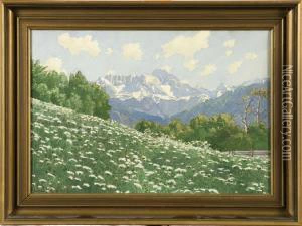Alplandskap Med Blommande Ang Oil Painting - Max Schultze