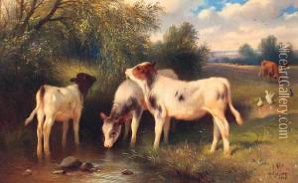 Calves Watering At A Stream Oil Painting - Walter Hunt