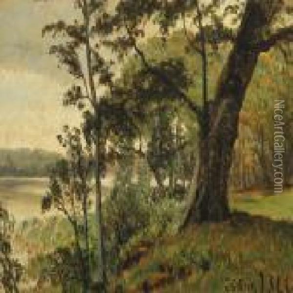 Forest Scenery With A Lake Oil Painting - Janus Andreas La Cour
