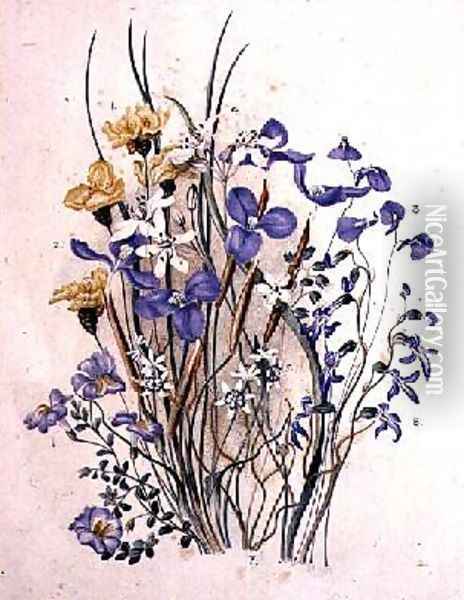 Spring Flowers Oil Painting - Caroline Louisa Meredith