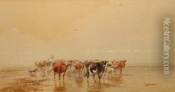 Act 1858-- Cattle Being Drovers On A Beach Oil Painting - John MacPherson