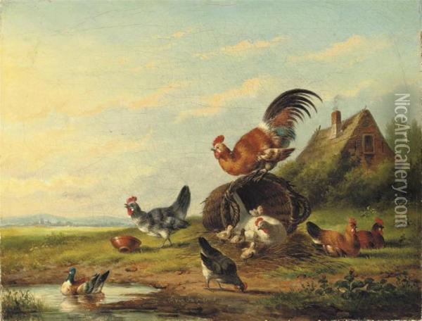 Chickens In A Meadow Oil Painting - Franz van Severdonck