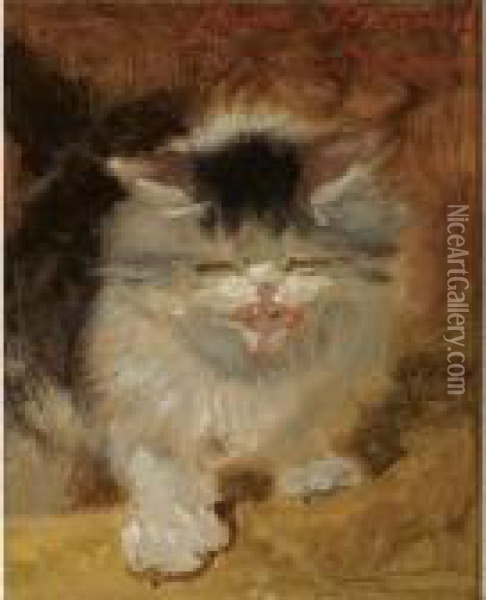 An Angry Little Kitten Oil Painting - Henriette Ronner-Knip