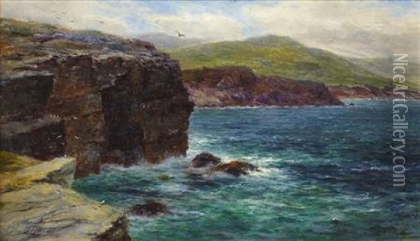 Cliffs Of Noss, Shetland Oil Painting - Louis Bosworth Hurt