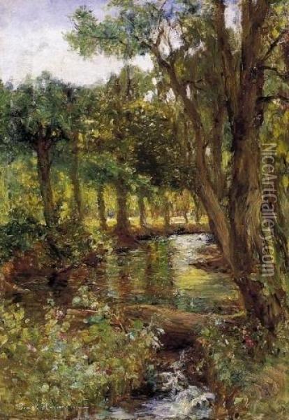 Brook In Forest Oil Painting - Hermina Bruck