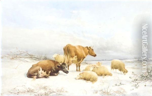 Sheep And Cattle In A Snowy Landscape Oil Painting - Thomas Sidney Cooper