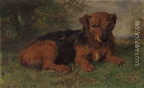 An Irish Terrier Oil Painting - Charles Collins II