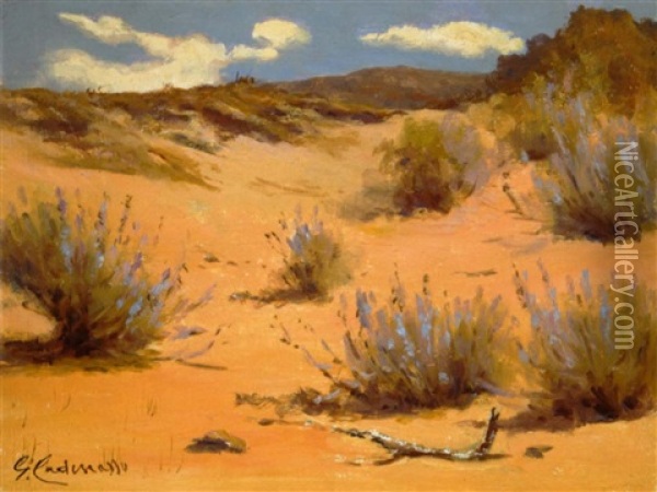 Sand Dunes In Bloom Oil Painting - Giuseppe Cadenasso