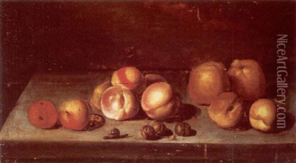 Still Life With Apples And A Snail On A Stone Ledge Oil Painting - Johannes Bouman