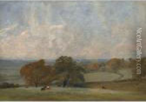 A View Of Dedham From East Bergholt Oil Painting - John Constable