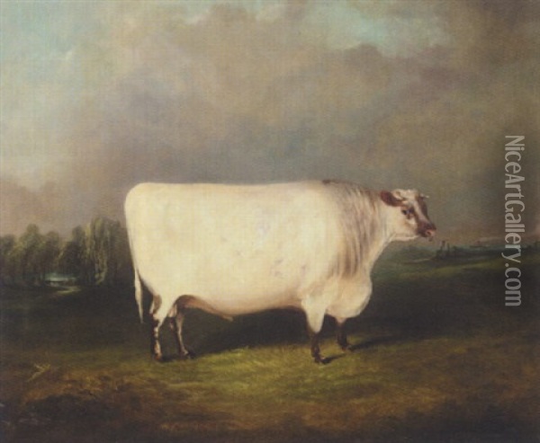 A Prize Shorthorn In A Landscape Oil Painting - James Clark