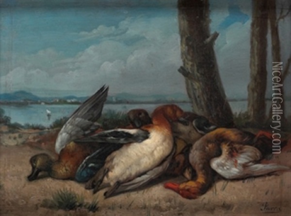 Patos En La Albufera Oil Painting - Miguel Parra Abril