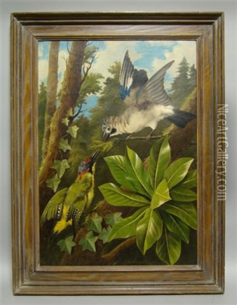 European Jay And A Green Woodpecker Oil Painting - Michelangelo Meucci