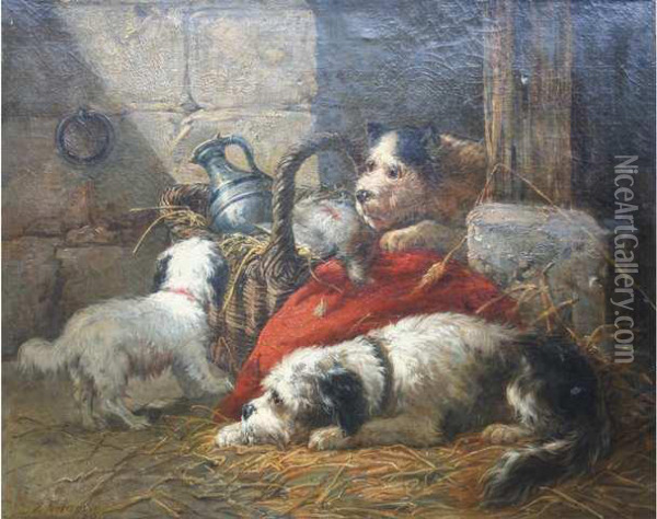 Chiots Oil Painting - Zacharias Noterman