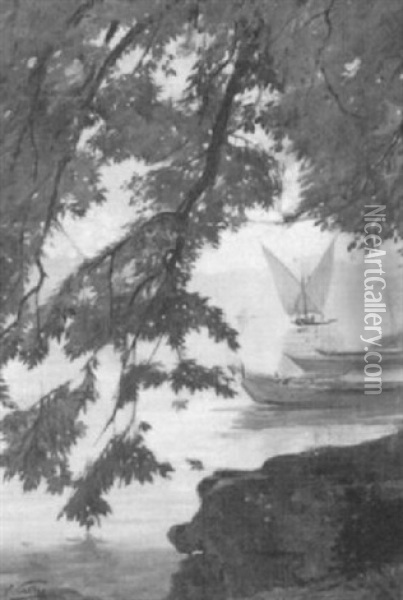 Hangender Baum Am Ufer Eines Sees Oil Painting - Edouard Castres