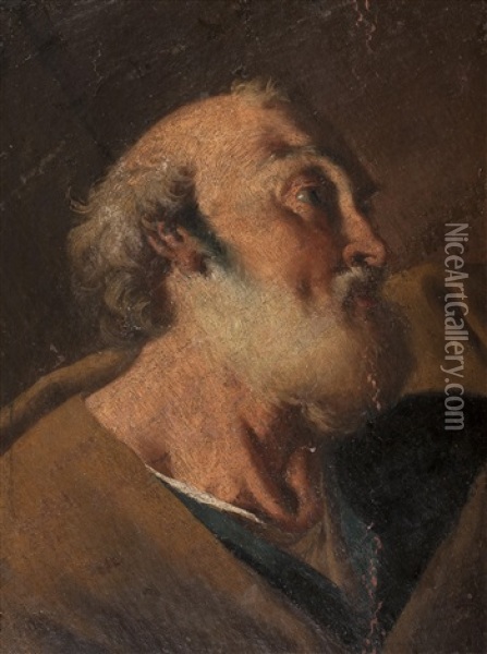 Study Of St. Peter Oil Painting - Giovanni Battista Pittoni the younger