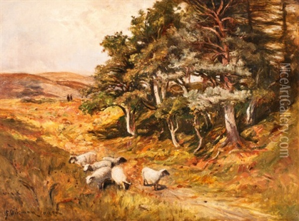 Schottische Landschaft Mit Schafen Oil Painting - George W. Aikman