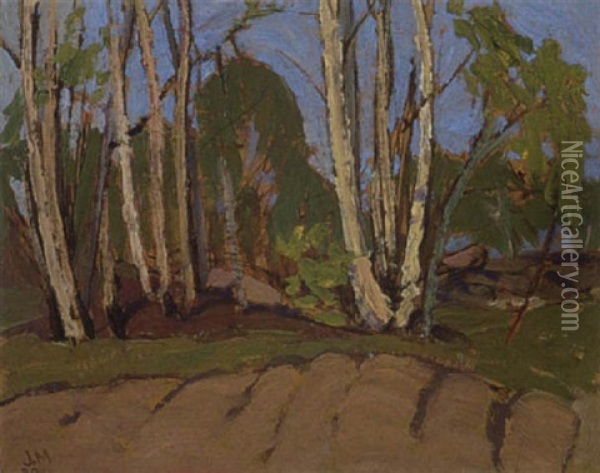 Birches Oil Painting - James Edward Hervey MacDonald