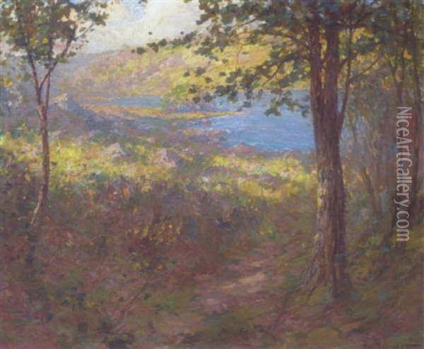 Udsigt Fra Et Bakkedrag I Skoven Over Solandskab En Forarsdag Oil Painting - Hal Robinson