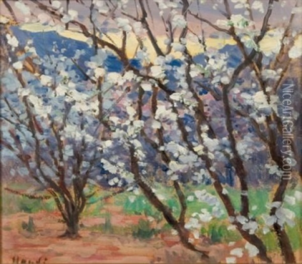 Trees In Blossom Oil Painting - Pieter Hugo Naude