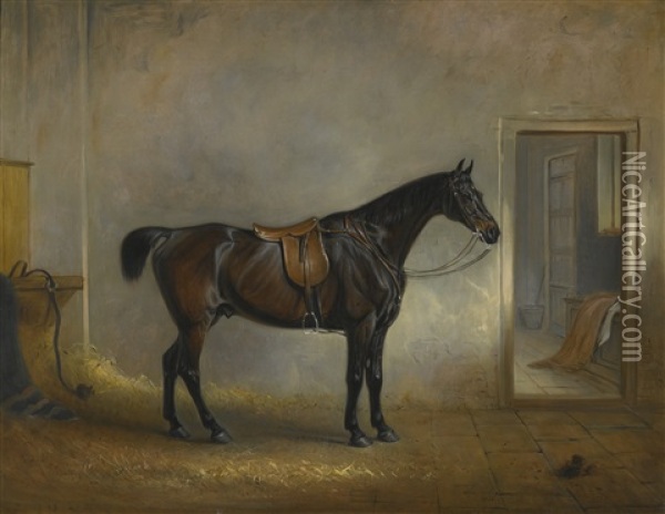 A Saddled Dark Bay Hunter In A Loose Box Oil Painting - John E. Ferneley
