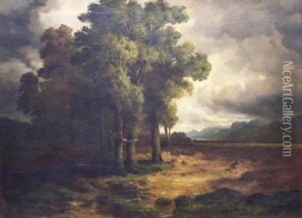 Landschaft Bei Aufziehendem Gewitter, Mit Einer Person Im Wehenden Mantel Nebst Hund Oil Painting - Carl Weber