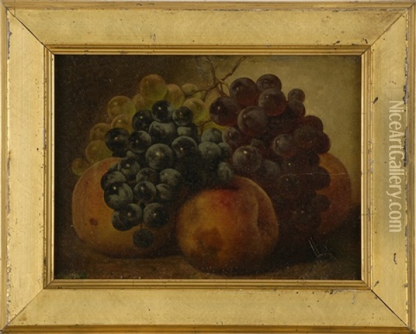 Still Life Of Apples And Grapes Oil Painting - William Mason Brown