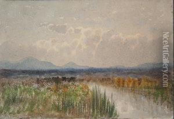 Bog Scene, West Of Ireland Oil Painting - William Percy French
