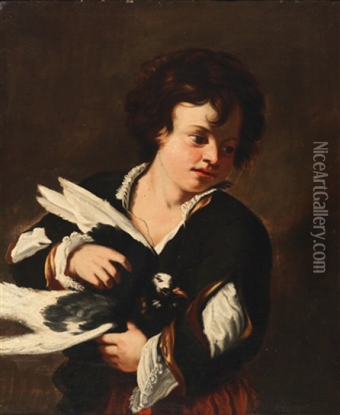 A Boy With A Dove Oil Painting - Pier Francesco Mola