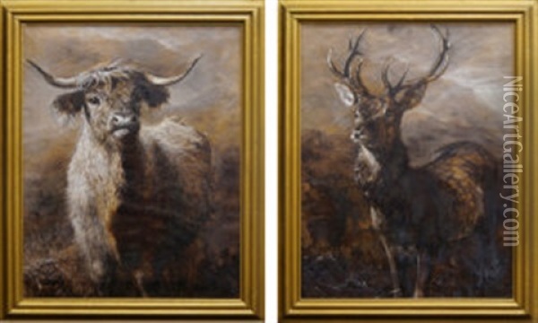 A Pair Of Studies Of A Highland Cow And Deer Stag Oil Painting - Joseph Denovan Adam