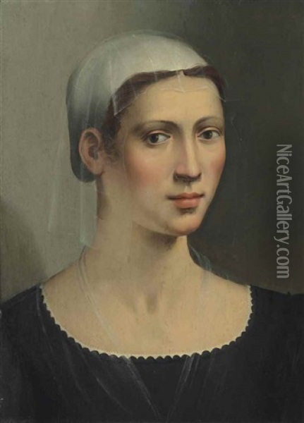 Portrait Of A Lady, Bust-length Oil Painting - Ridolfo del Ghirlandaio