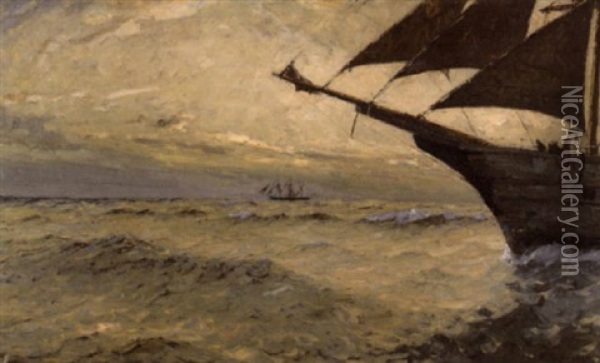 Grossegler Auf Bewegter See Oil Painting - Leopold Schoenchen