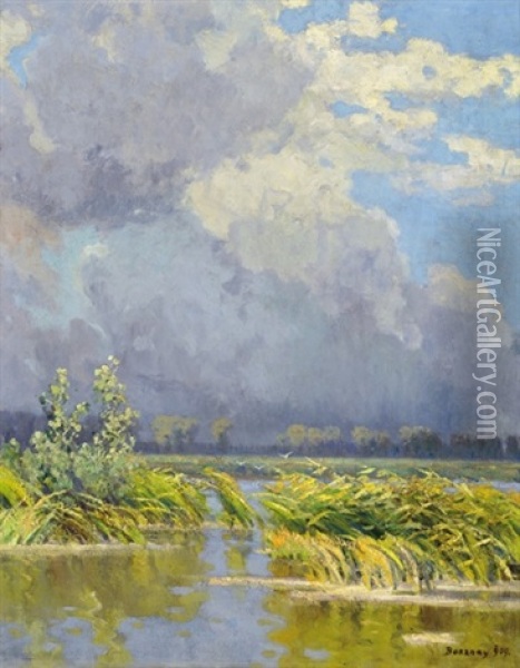 Wind-blown Cane-brake, On The Reverse: Radvanyi Lake Oil Painting - Istvan Bosznay