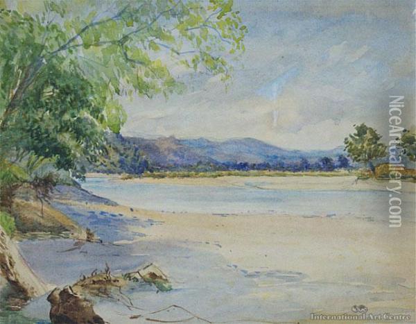 Otira Valley Oil Painting - William Matthew Hodgkins