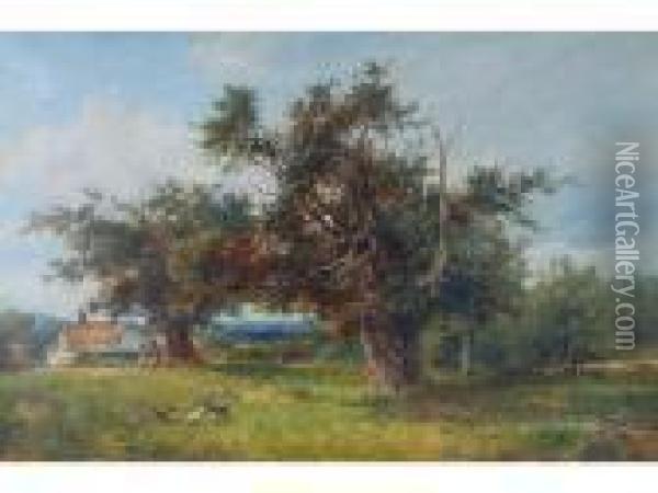 'yews At Cradley Oil Painting - David Bates
