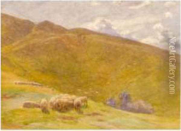 Sheep Grazing On The Uplands Oil Painting - Arthur Wintershaw