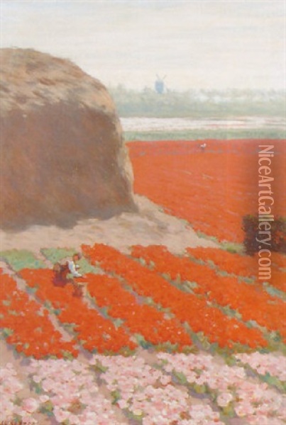 Bulbfields Oil Painting - Antonie Louis Koster